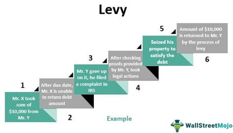 what is a levy on property